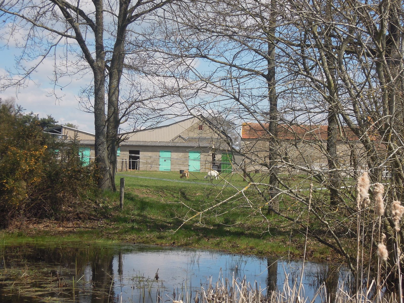 Le domaine des Verts Prés — écuries et étang