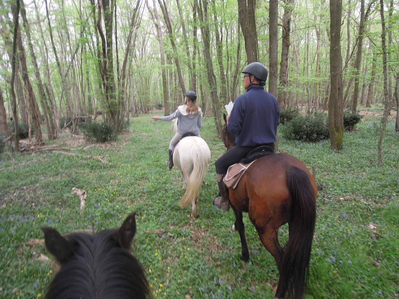 Balades à cheval dans le bocage berrichon