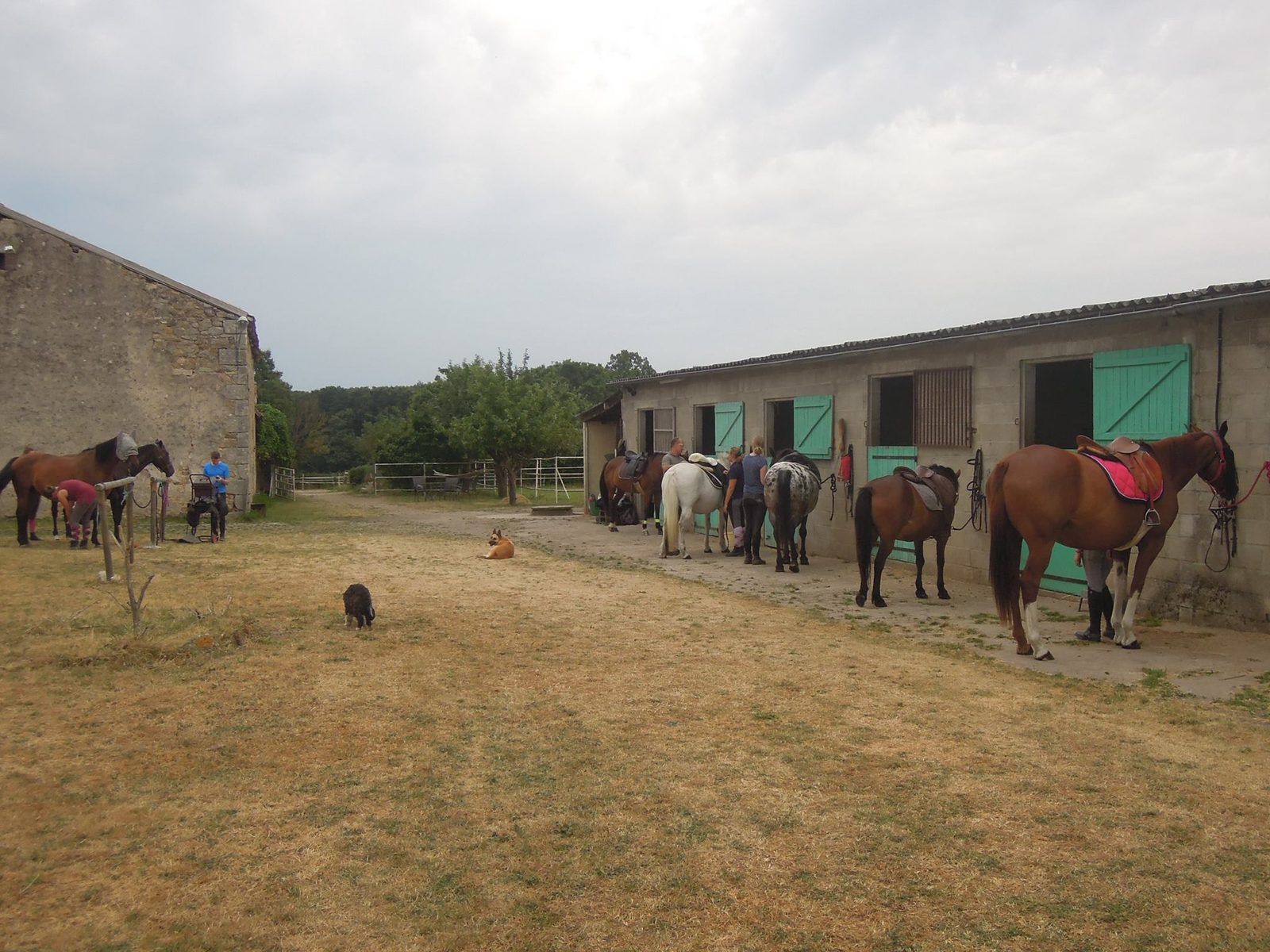 Les boxes — Les Verts Prés